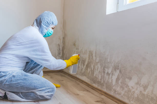 Hvac And Air Duct Mold Remediation inspection of HVAC system in Schooleys Mountain